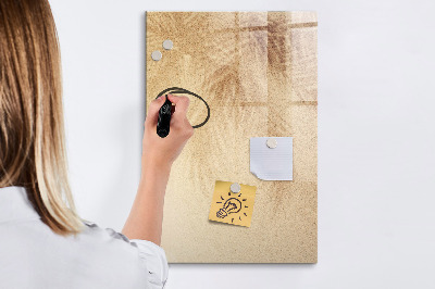 Pizarra borrable de cristal con imanes Tablero para fotos y notas