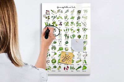 Pizarra borrable de cristal con imanes Verduras y hierbas verdes en imágenes