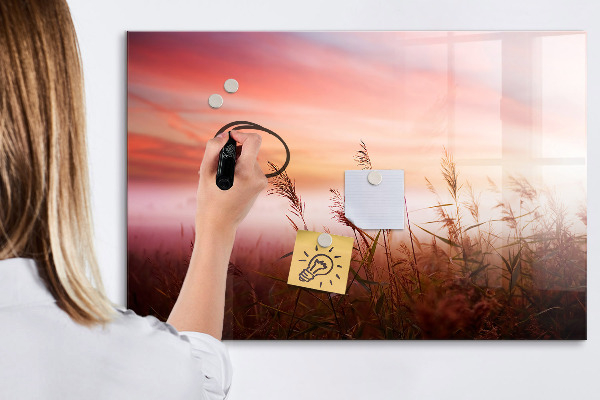 Pizarra borrable de cristal con imanes Un espacio creativo para presentar fotografías