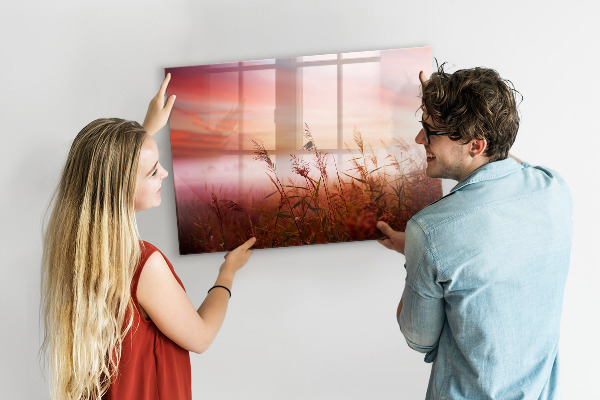 Pizarra borrable de cristal con imanes Un espacio creativo para presentar fotografías