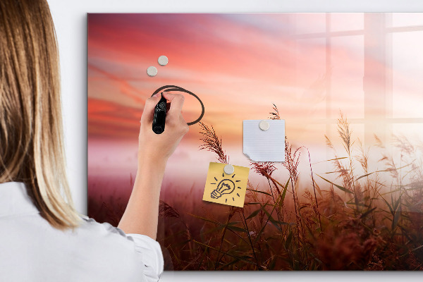 Pizarra borrable de cristal con imanes Un espacio creativo para presentar fotografías