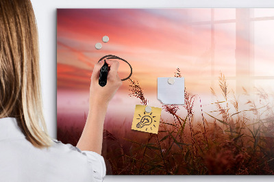Pizarra borrable de cristal con imanes Un espacio creativo para presentar fotografías