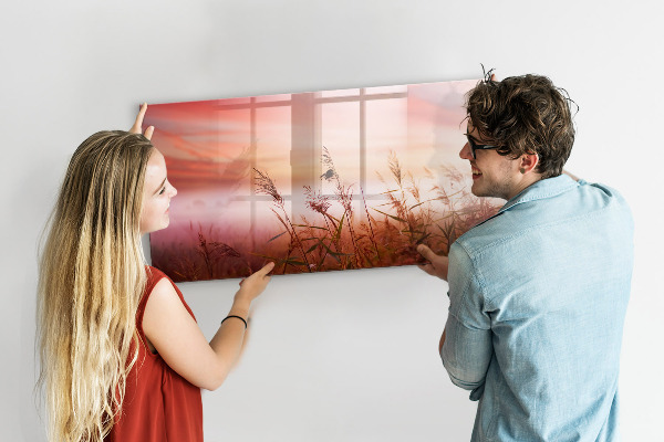 Pizarra borrable de cristal con imanes Un espacio creativo para presentar fotografías