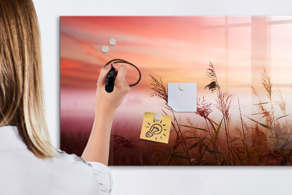 Pizarra borrable de cristal con imanes Un espacio creativo para presentar fotografías