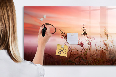Pizarra borrable de cristal con imanes Un espacio creativo para presentar fotografías