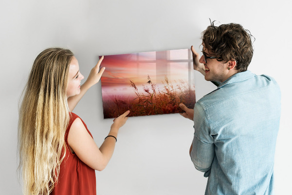 Pizarra borrable de cristal con imanes Un espacio creativo para presentar fotografías