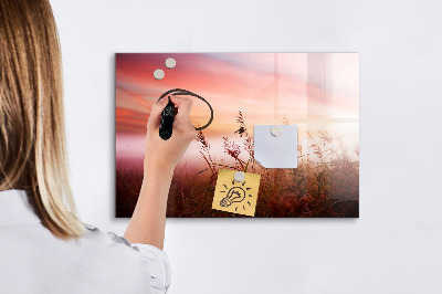 Pizarra borrable de cristal con imanes Un espacio creativo para presentar fotografías