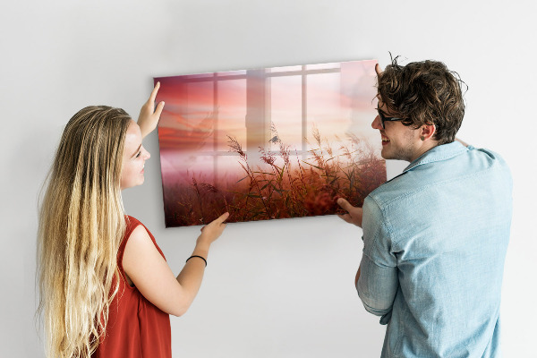 Pizarra borrable de cristal con imanes Un espacio creativo para presentar fotografías