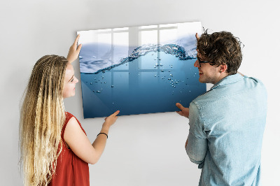 Pizarra magnética de pared con rotulador Fondo acuático con fotos y accesorios.