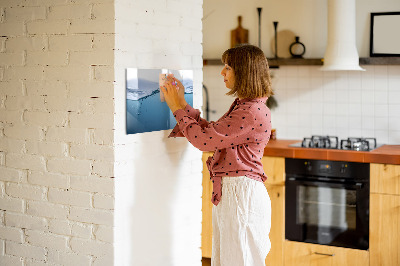 Pizarra magnética de pared con rotulador Fondo acuático con fotos y accesorios.