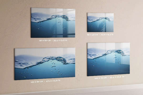 Pizarra magnética de pared con rotulador Fondo acuático con fotos y accesorios.
