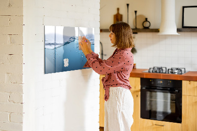 Pizarra magnética de pared con rotulador Fondo acuático con fotos y accesorios.