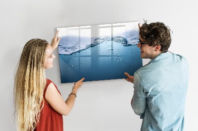 Pizarra magnética de pared con rotulador Fondo acuático con fotos y accesorios.