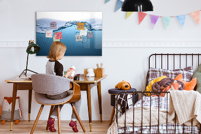 Pizarra magnética de pared con rotulador Fondo acuático con fotos y accesorios.