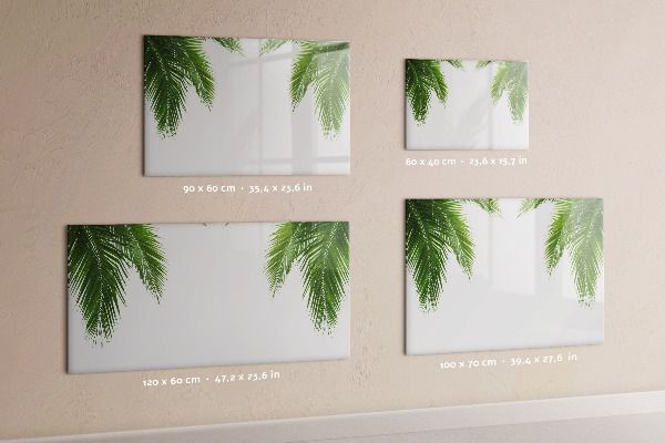 Pizarra magnética de pared con rotulador Tablero fotográfico con motivo de palmera
