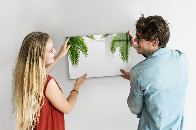 Pizarra magnética de pared con rotulador Tablero fotográfico con motivo de palmera
