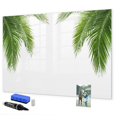 Pizarra magnética de pared con rotulador Tablero fotográfico con motivo de palmera
