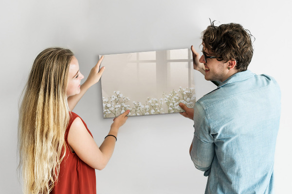 Pizarra borrable de cristal con imanes Un elegante tablero para notas y fotos.