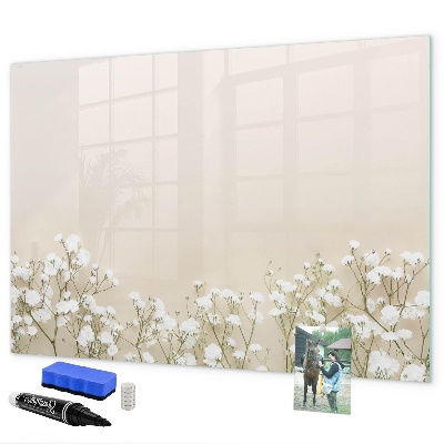 Pizarra borrable de cristal con imanes Un elegante tablero para notas y fotos.