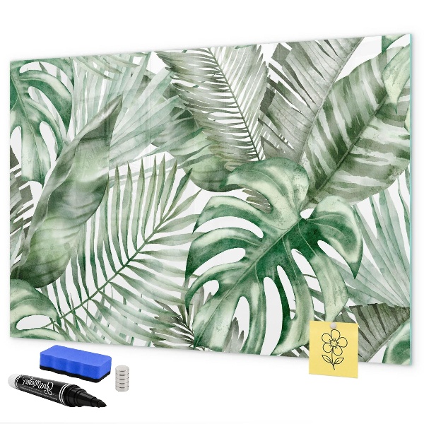 Pizarra magnética de pared con rotulador Póster verde con fotos y accesorios