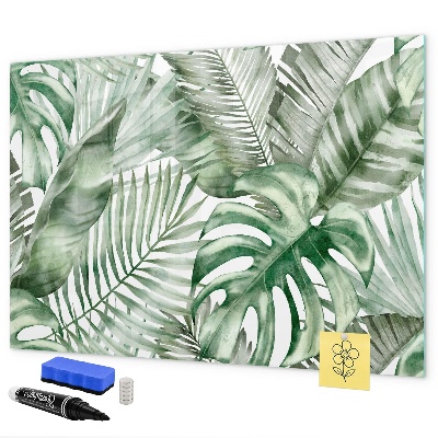 Pizarra magnética de pared con rotulador Póster verde con fotos y accesorios
