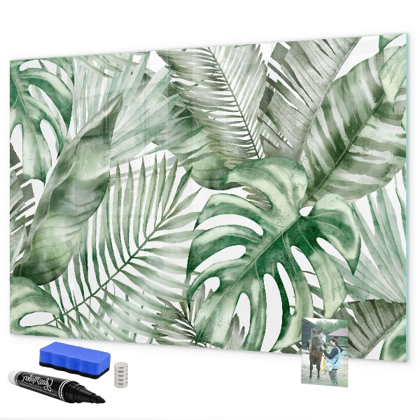 Pizarra magnética de pared con rotulador Póster verde con fotos y accesorios