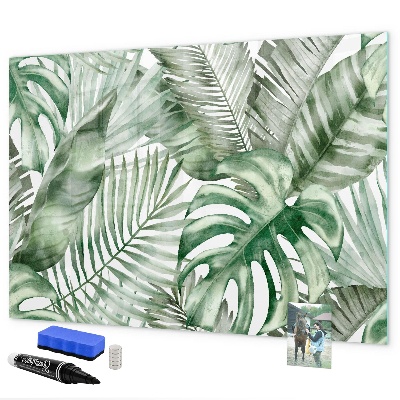 Pizarra magnética de pared con rotulador Póster verde con fotos y accesorios