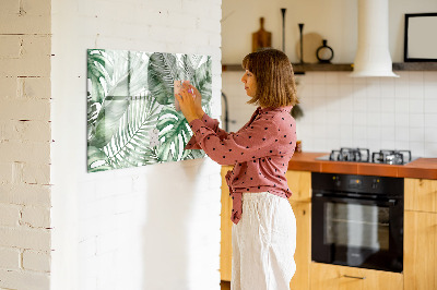 Pizarra magnética de pared con rotulador Póster verde con fotos y accesorios