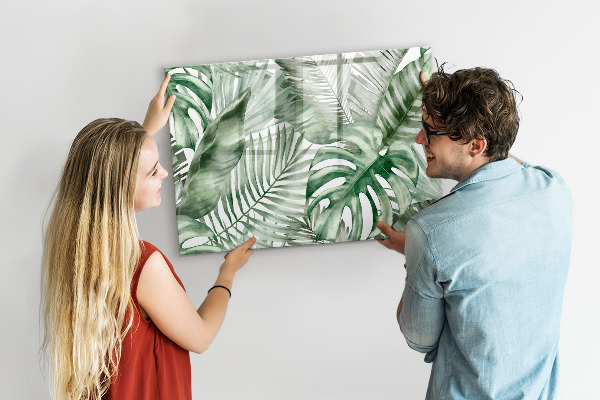 Pizarra magnética de pared con rotulador Póster verde con fotos y accesorios