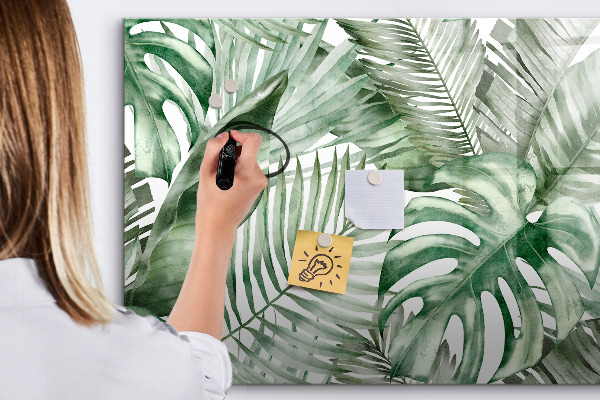 Pizarra magnética de pared con rotulador Póster verde con fotos y accesorios
