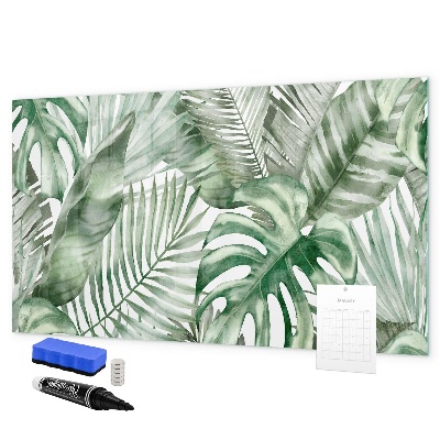 Pizarra magnética de pared con rotulador Póster verde con fotos y accesorios