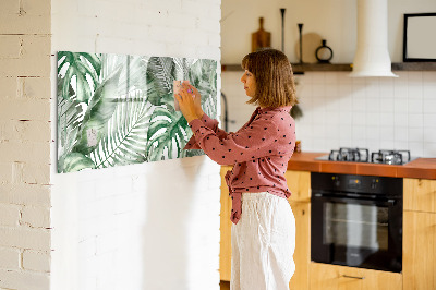 Pizarra magnética de pared con rotulador Póster verde con fotos y accesorios