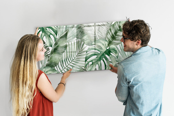 Pizarra magnética de pared con rotulador Póster verde con fotos y accesorios
