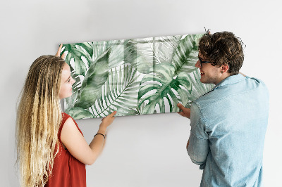Pizarra magnética de pared con rotulador Póster verde con fotos y accesorios