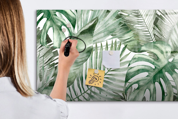 Pizarra magnética de pared con rotulador Póster verde con fotos y accesorios