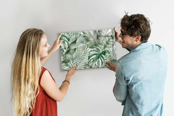 Pizarra magnética de pared con rotulador Póster verde con fotos y accesorios