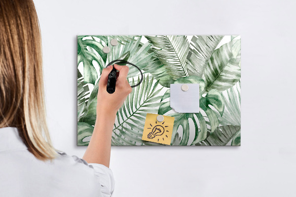 Pizarra magnética de pared con rotulador Póster verde con fotos y accesorios
