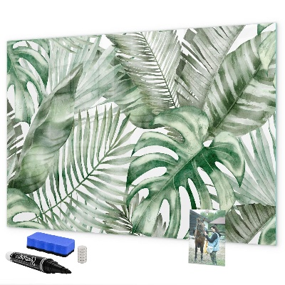 Pizarra magnética de pared con rotulador Póster verde con fotos y accesorios
