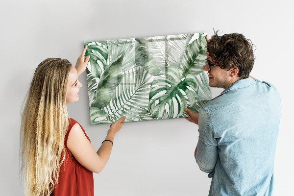 Pizarra magnética de pared con rotulador Póster verde con fotos y accesorios