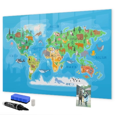 Pizarra borrable de cristal con imanes Mapa del mundo colorido con imanes