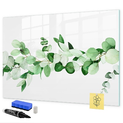 Pizarra magnética de pared con rotulador Tablero verde para fotos y notas.