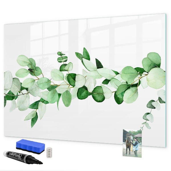 Pizarra magnética de pared con rotulador Tablero verde para fotos y notas.