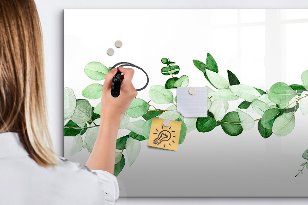 Pizarra magnética de pared con rotulador Tablero verde para fotos y notas.