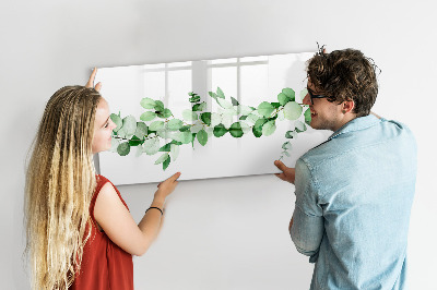 Pizarra magnética de pared con rotulador Tablero verde para fotos y notas.
