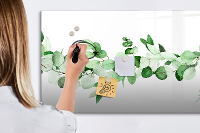 Pizarra magnética de pared con rotulador Tablero verde para fotos y notas.