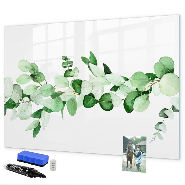 Pizarra magnética de pared con rotulador Tablero verde para fotos y notas.