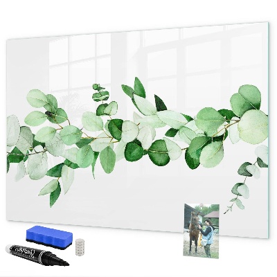 Pizarra magnética de pared con rotulador Tablero verde para fotos y notas.