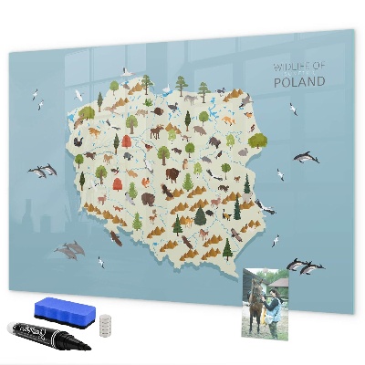 Pizarra borrable de cristal con imanes Mapa natural de Polonia con lugares para tomar fotos.