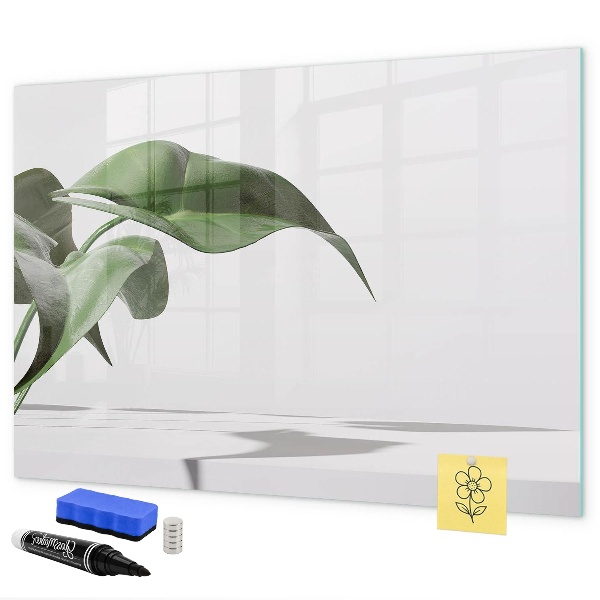 Pizarra magnética de pared con rotulador Plantas y recuerdos en la pared