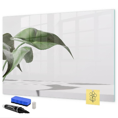 Pizarra magnética de pared con rotulador Plantas y recuerdos en la pared